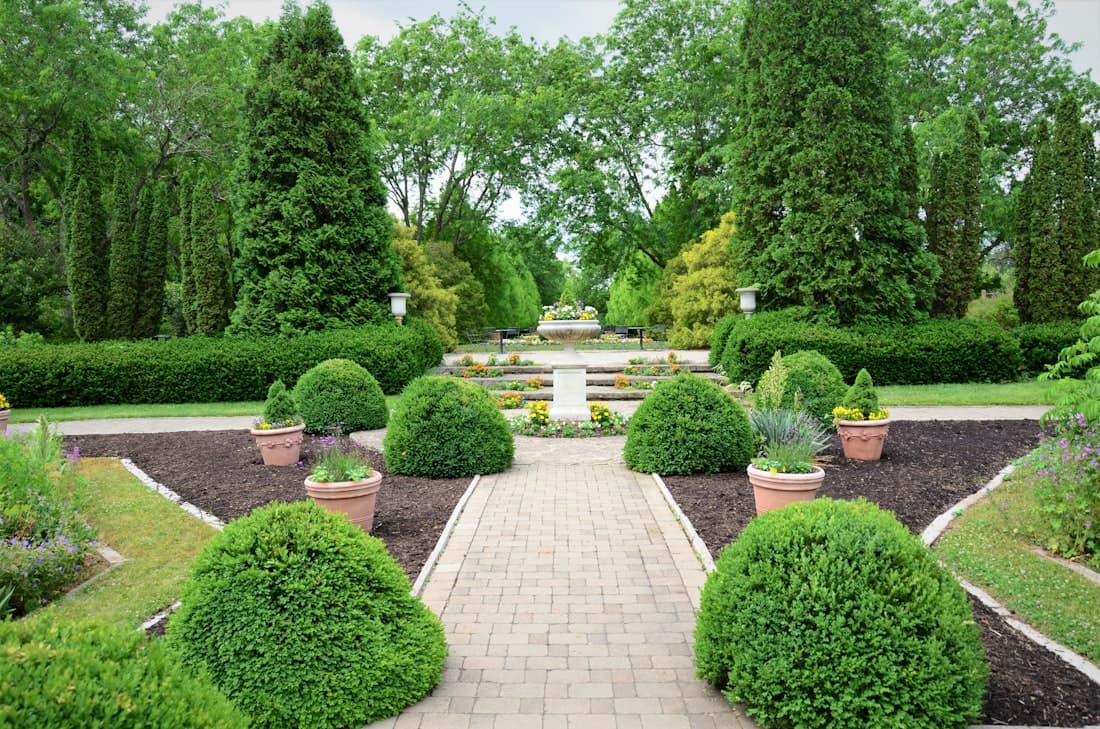 Jardines Ometepec 2